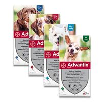 advantix hond